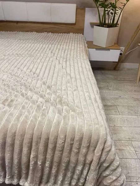 Неймовірно м'який та оксамитовий Плед 200х220 Тканина Плюш 16347 фото
