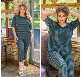 Стильный женский костюм Футболка+Бриджи, ткань "Хлопок+Стрейч" 48, 50, 52, 54, 56, 58, 60 размер 48 10448-48 фото