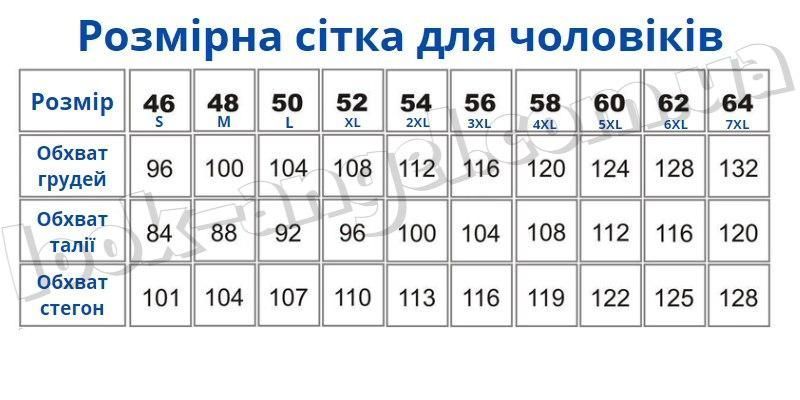 Мужской спортивный костюм, ткань "Трикотаж" 48, 50, 52, 54, 56 размер 48 15736-48 фото
