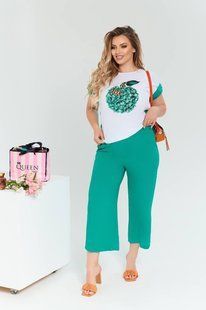 Стильный женский костюм-двойка Футболка+Бриджи, ткань "Софт" 48, 50, 52, 54, 56 размер 48 10985-48 фото