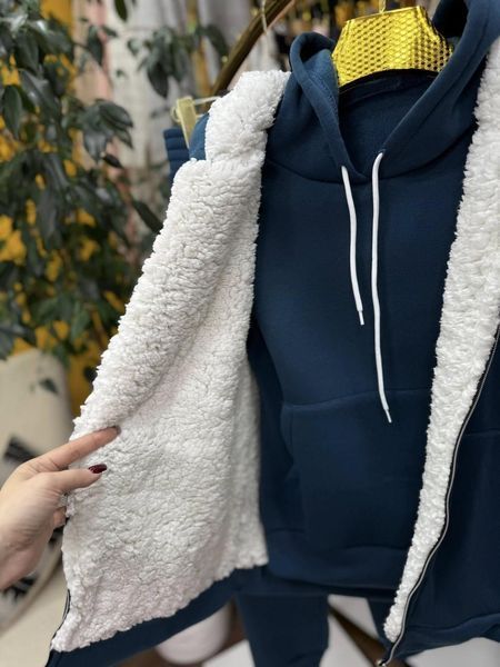 Теплий жіночий костюм-трійка на флісі, тканина "Трикотаж" 40, 46, 48, 50, 52 розмір 40 21246-40 фото