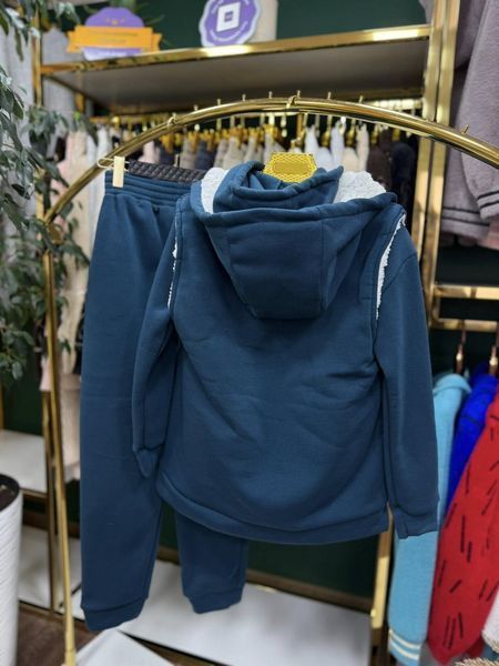 Теплий жіночий костюм-трійка на флісі, тканина "Трикотаж" 40, 46, 48, 50, 52 розмір 40 21246-40 фото
