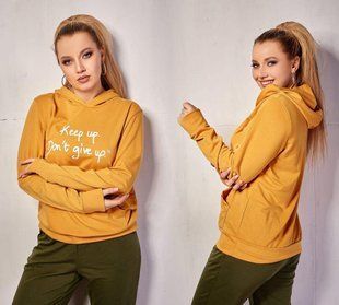 Мягкое женское Худи, ткань "Трикотаж двухнитка" 42, 44, 46, 48, 50, 54, 56 размер 42 12388-42 фото