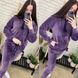 Стильный женский костюм с капюшоном, ткань "Велюр" 56, 60 размер 56 12820-56 фото 1