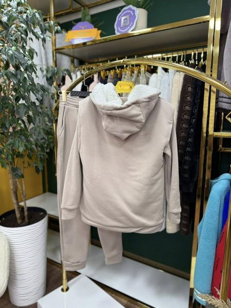 Теплий жіночий костюм-трійка на флісі, тканина "Трикотаж" 44, 46, 48, 50, 52 розмір 44 21247-44 фото