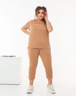 Стильный женский костюм-двойка, ткань "Трикотаж" 48, 50, 52, 54, 56, 58 размер 48 14631-48 фото